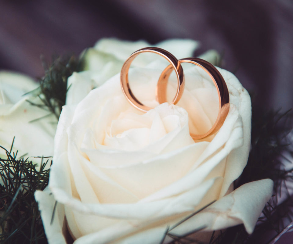 Wedding rings on Rose
